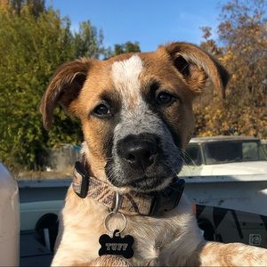 Meet your Posher, Kilee